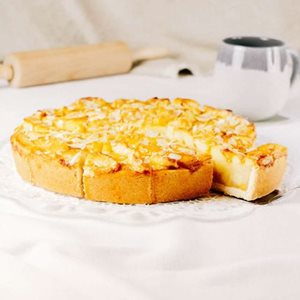 4504-apfelkuchen-schnitten-stuecke-01