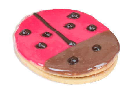 Marie Käfer - der Junge Bug.